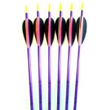 6 Best Arrows 2025