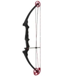 10 Best Beginner Bows 2025