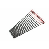 10 Best Carbon Arrows 2025